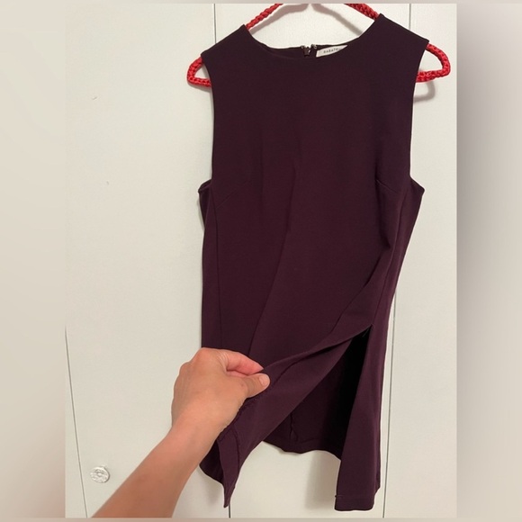 Babaton Aritzia Merlot purple Wade tunic sleeveless tunic - XS Nwot - Picture 6 of 9